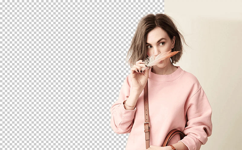 background eraser for pc